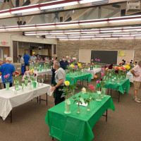 National Capital Dahlia Society, Getting Ready for a Show