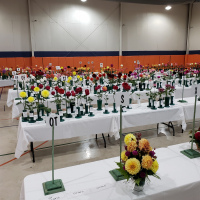 Dahlia Society of Tennessee 2022 Show