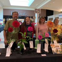 Dahlia Society of Ohio, In remembrance of Dave Cap