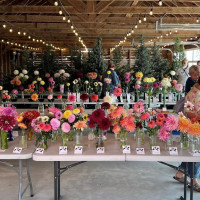 Southwest Idaho Dahlia Society, Exhibition