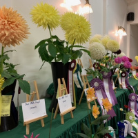 Victoria Dahlia Society, Head Table Left Side