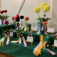 Victoria Dahlia Society, Head Table Right Side