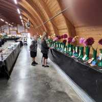 Alberta Dahlia & Glad Society, Judging at Rumsey Hall