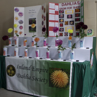 Inland Empire Dahlia Society