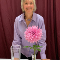 Utah Dahlia Society