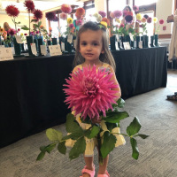 New England Dahlia Society