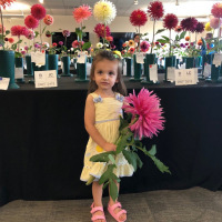 New England Dahlia Society