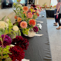 New England Dahlia Society