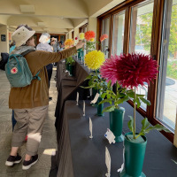 New England Dahlia Society