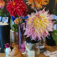 Snohomish County Dahlia Society, Best Outhouse