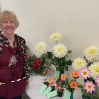 Gettysburg Dahlia Society, Valerie Wampler reviewing 3 blooms GB