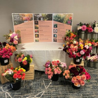 2022 ADS National Show, Cut Flower Display