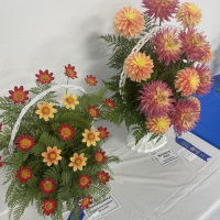Grays Harbor/Evergreen State Dahlia Societies