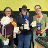 Monterey Bay Dahlia Society