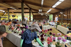 Monterey Bay Dahlia Society