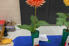Canadian Chrysanthemum and Dahlia Society, Best AA, AC Ben, Mike Parrish