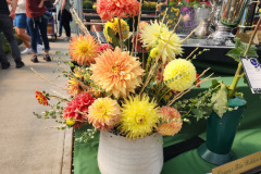 Colorado Dahlis Society, Best Arrangemens Open, Colorado Sunrise