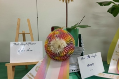 Victoria Dahlia Society, Best Overall Single in Show, Embrace