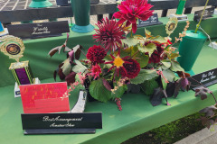 Colorado Dahlias Society, Colorado Amateur Show, Winning Arrangement