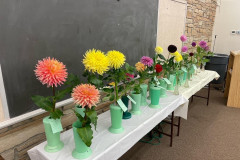 National Capital Dahlia Society, Court of Honor