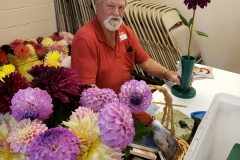 Dahlia Society of Tennessee, Harold Stewart Staging His Dahlias