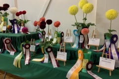 Victoria Dahlia Society, Head Table Right Side