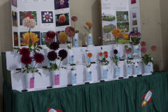 Inland Empire Dahlia Society