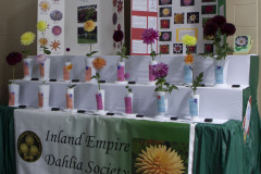 Inland Empire Dahlia Society