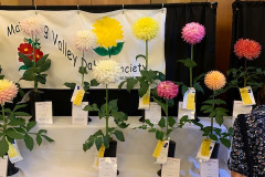 Mahoning Valley Dahlia Society