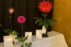 Mahoning Valley Dahlia Society