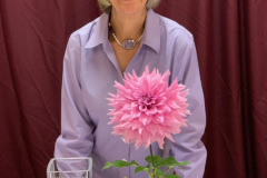 Utah Dahlia Society