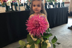 New England Dahlia Society