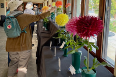 New England Dahlia Society