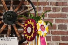 Snohomish County Dahlia Society, Best Triple