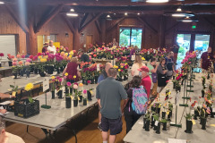 Snohomish County Dahlia Society, Morning Placements