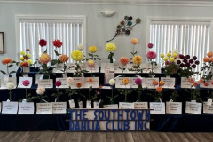 Southtown Dahlia Club, Chicago South Suburbs,  Court of Honor