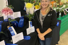 Dahlia Society of Ohio, Tammy May, Cuyahoga County Fair Champion