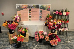 2022 ADS National Show, Cut Flower Display