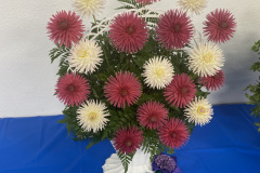 Grays Harbor/Evergreen State Dahlia Societies