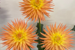 3-Clearview-Ken-GB-crop