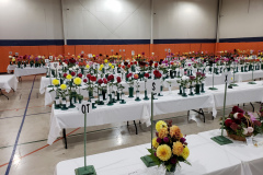 Dahlia-Society-of-Tennessee-2022-Show