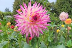 1-Narrows-Dawn-Banks