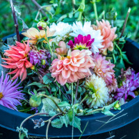 Beautiful Garbage by Sam Bollineni