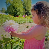 AC Chelan Pretty in Pink by Anne Maria  Jacobson