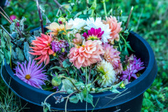 Beautiful Garbage by Sam Bollineni