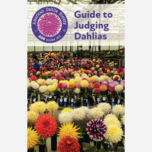 Cover of Judging Guide