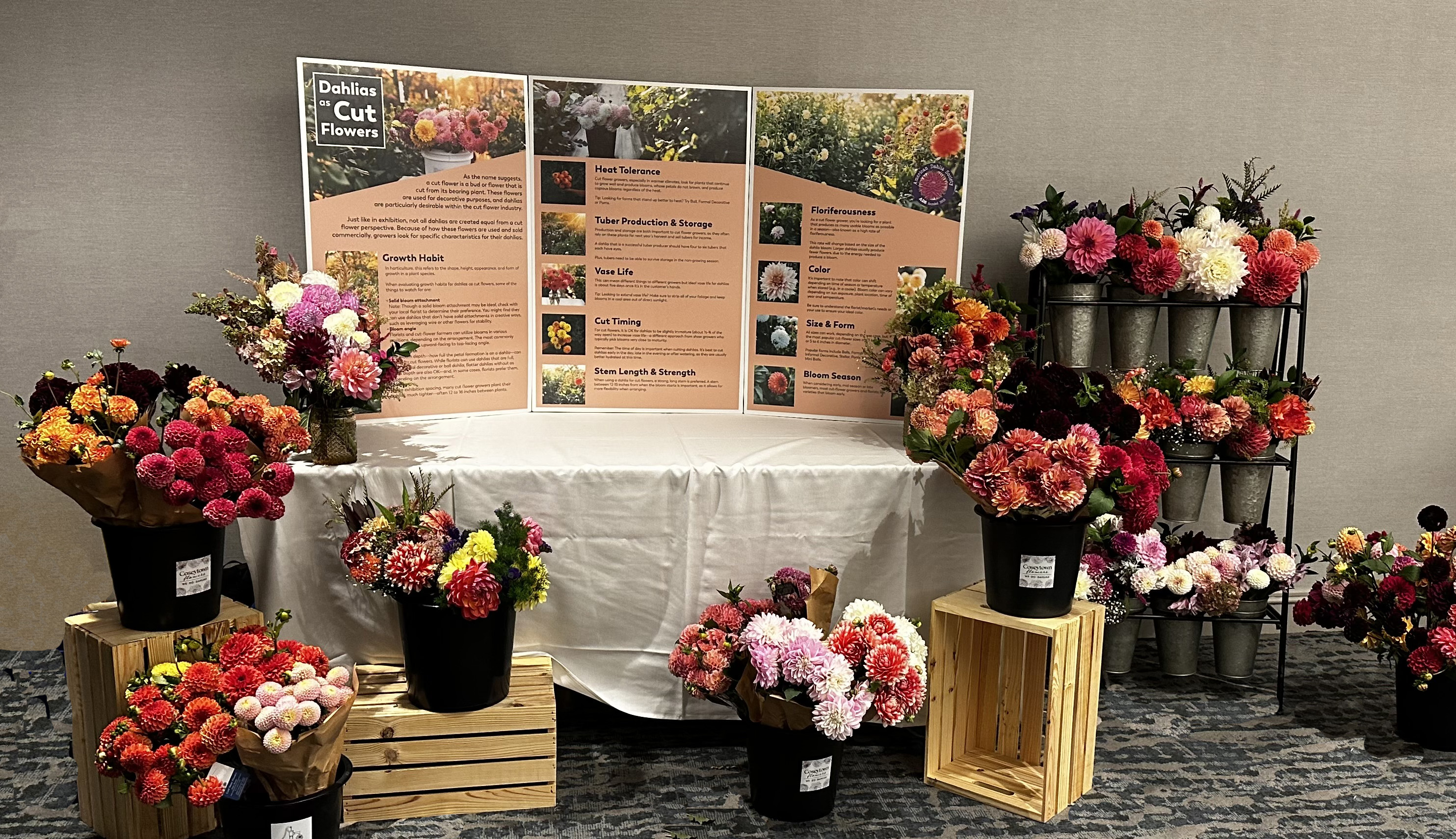 Display for cut flowers at ADS National Show