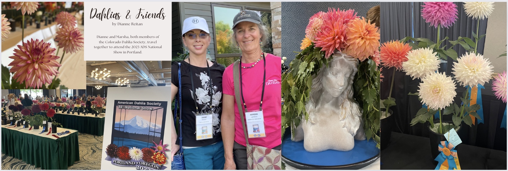 Newsletter - Dahlias and Friends - 5/10/2024